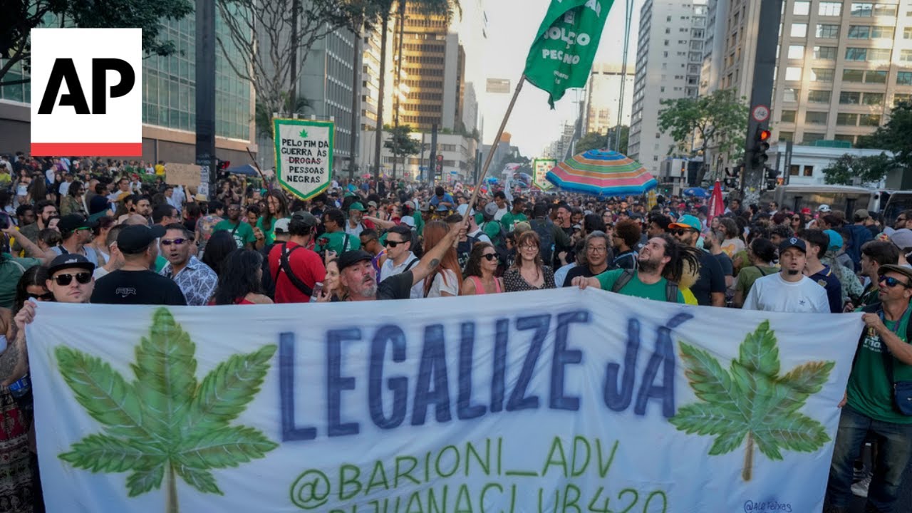 Brazilianët marshojnë në Sao Paulo kundër ligjit të ri. Ndjekje penale për këdo që disponon marijuanë sado e vogël sasia!