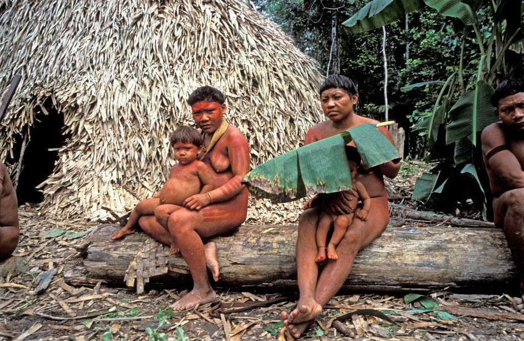 Fisi Marumbo në Amazonë lidhet me internet, të izoluar prej shekujsh!