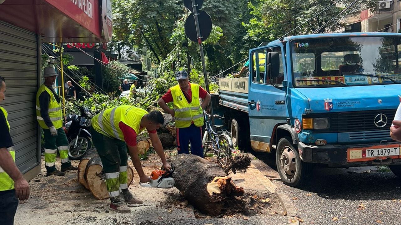 Moti i keq rrëzoi pemën te “Myslym Shyri”, u këputën kabujt elektrikë!