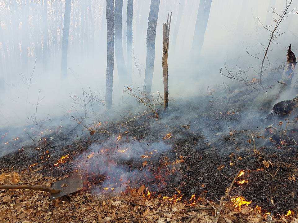 Flakët po i drejtoheshin Gjirokastrës, shuhet pas 7 orësh zjarri në Sopot!