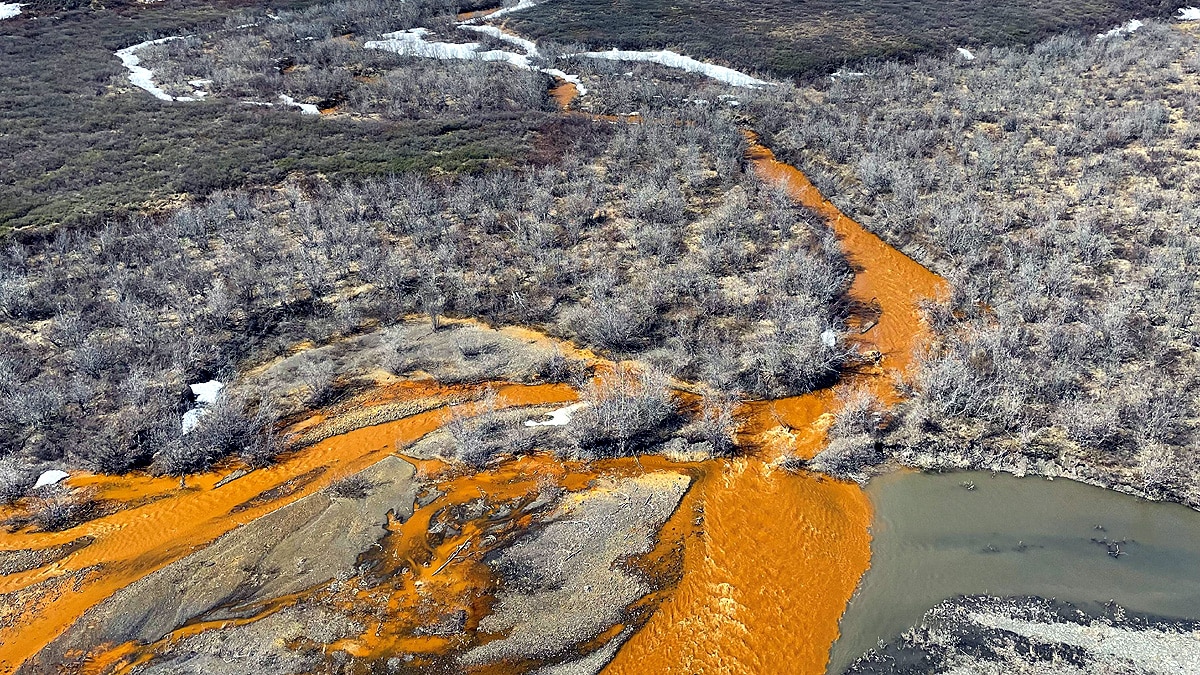 Lumenjtë e ndotur të Alaskës, studimi i ri alarmues!