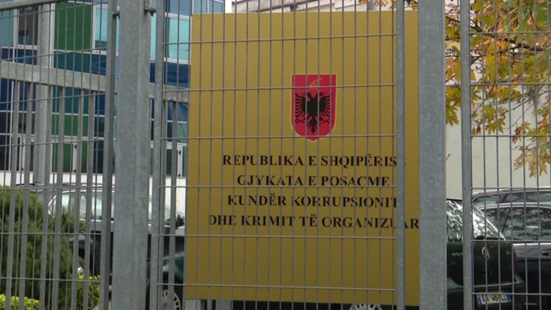 Qindra kg kanabis në Shkodër, GJKKO urdhëron dërgimin në paraburgim për 9 të pandehur!