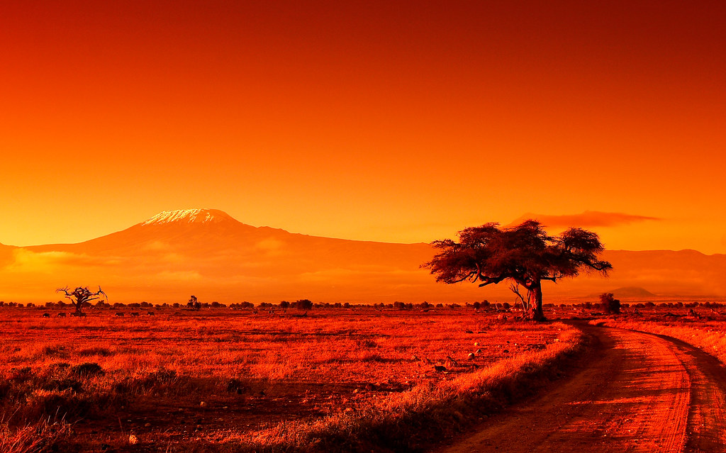 Rikthehet i nxehti afrikan, temperaturat do të shkojnë deri 43 gradë Celcius!