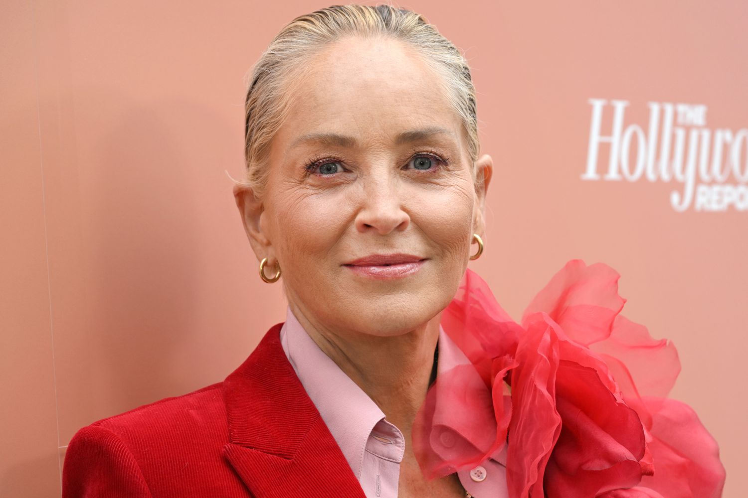 Sharon Stone kujton periudhën e vështirë kur pësoi goditje në tru: “Humba milona dollarë kursime, nuk kisha më asgjë…”