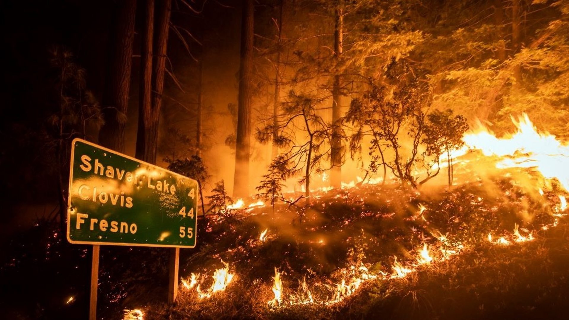 Siberia përfshihet nga zjarret, digjen mbi 1 milionë hektarë pyje!