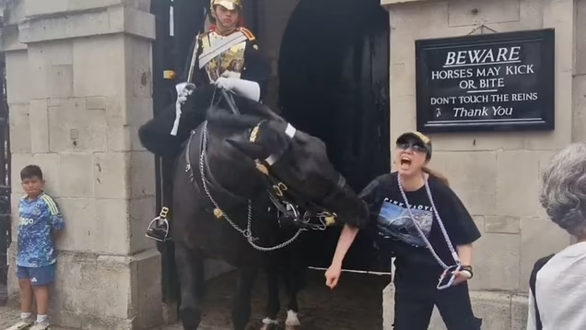 U afrua për të bërë foto, kali i Rojës Mbretërore kafshon turisten, përfundon pa ndjenja! (VIDEO)