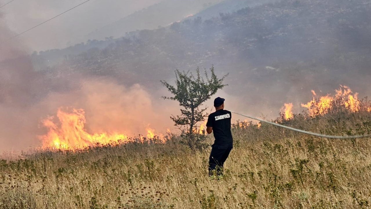 Zjarr masiv pranë Gjirokastrës, zjarrfikësit në luftë me flakët!