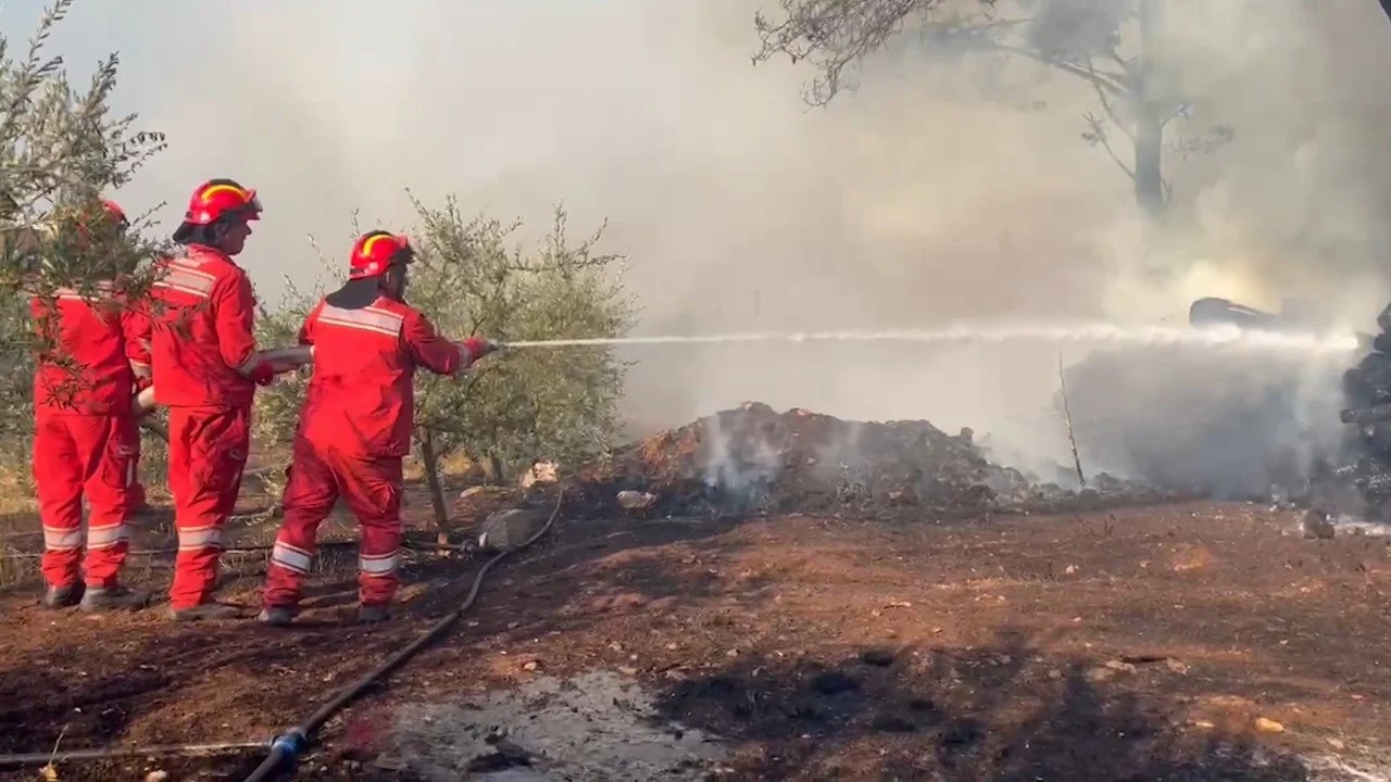 Bulqizë, 30 ha pyje në flakë në Ternovë!