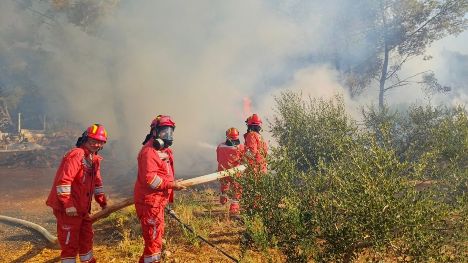 Situata e zjarreve në vend, ende 12 vatra aktive! Dhjetëra zjarrfikës në terren, vijojnë të digjen mbetjet në Mallakastër