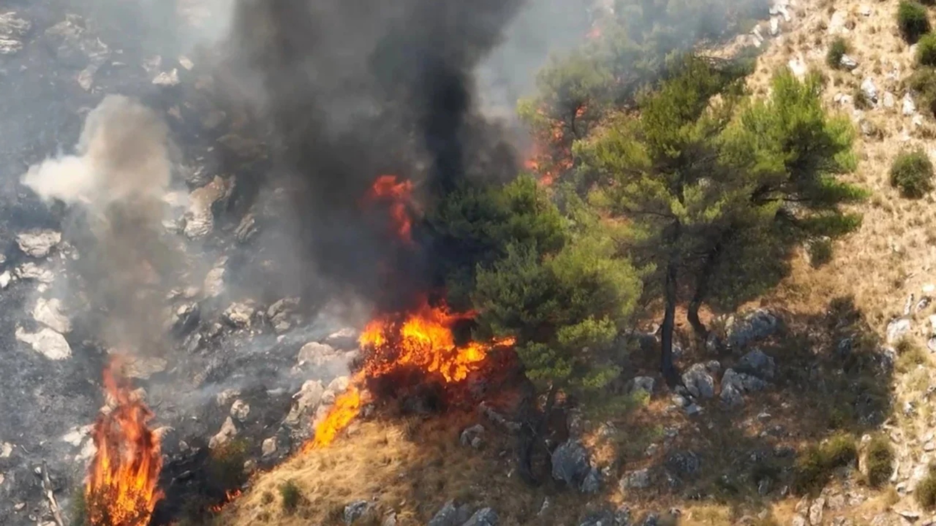 Situata e zjarreve në vendin tonë! Shuhen dhjetëra prej tyre, ende gjashtë vatra aktive!