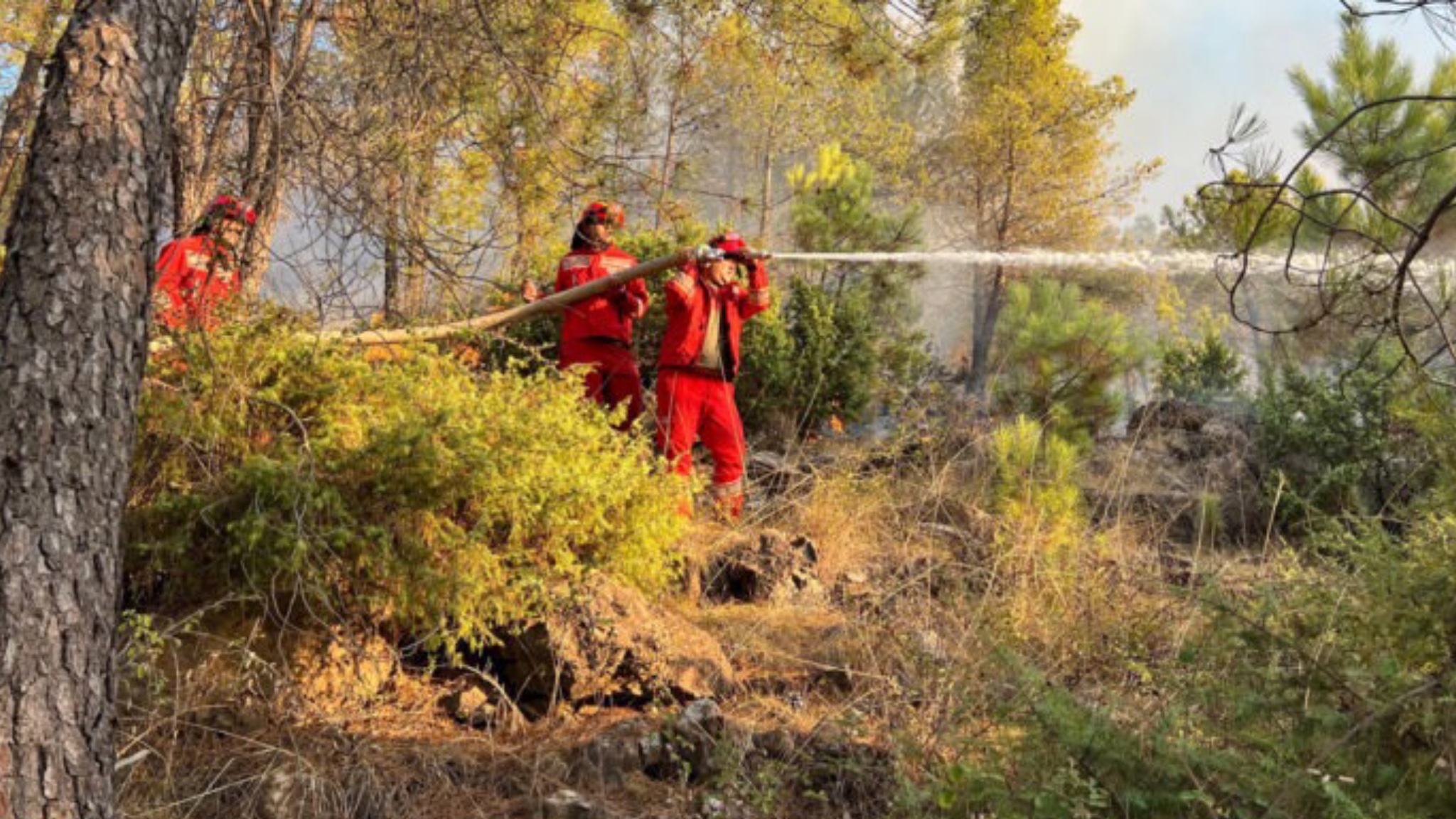 U raportuan 29 vatra në 24 orë, 10 ende aktive në vend! Ministria e Mbrojtjes zbulon se…