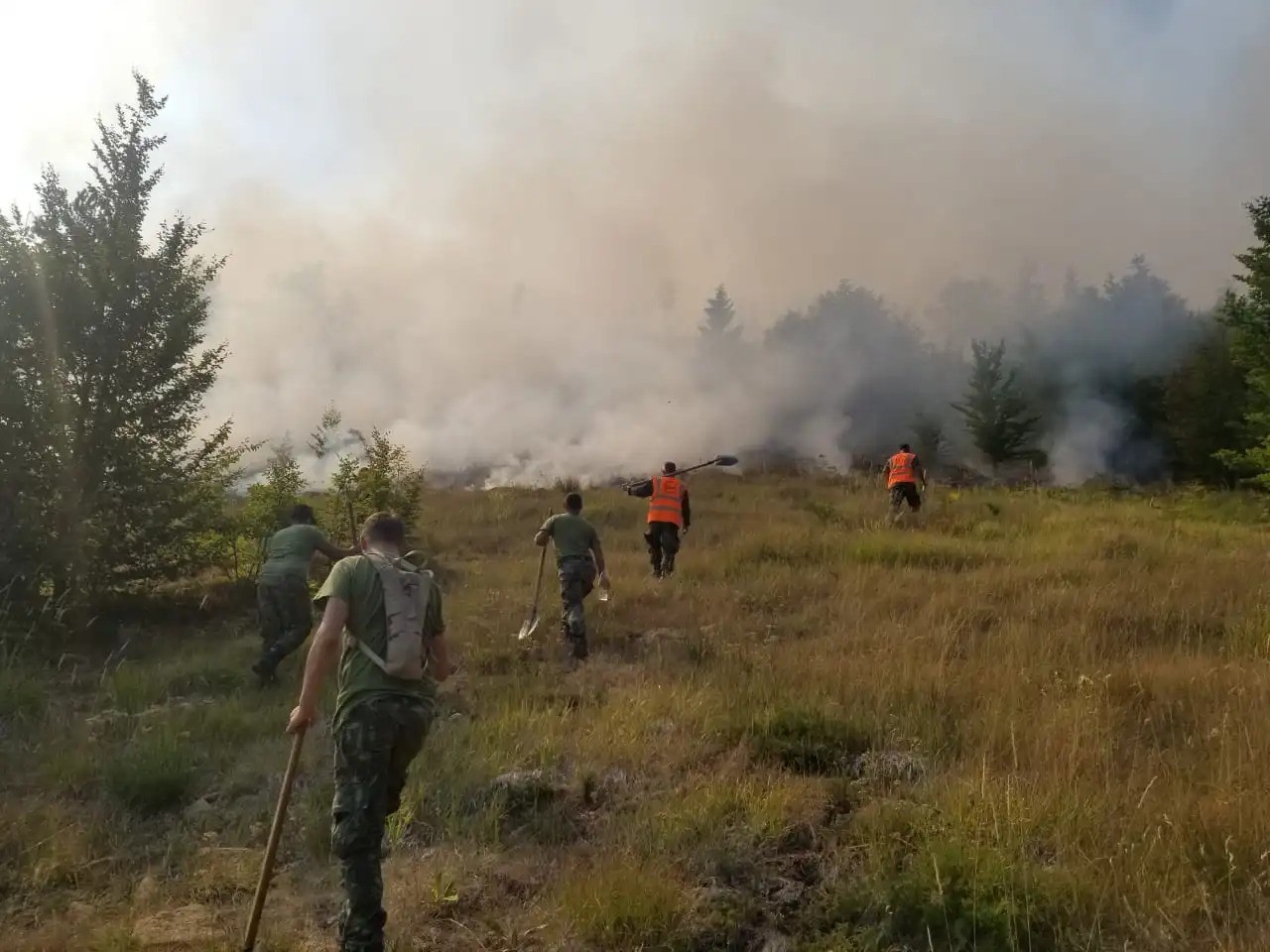 Vatra zjarri në Labovë të Gjirokastrës!