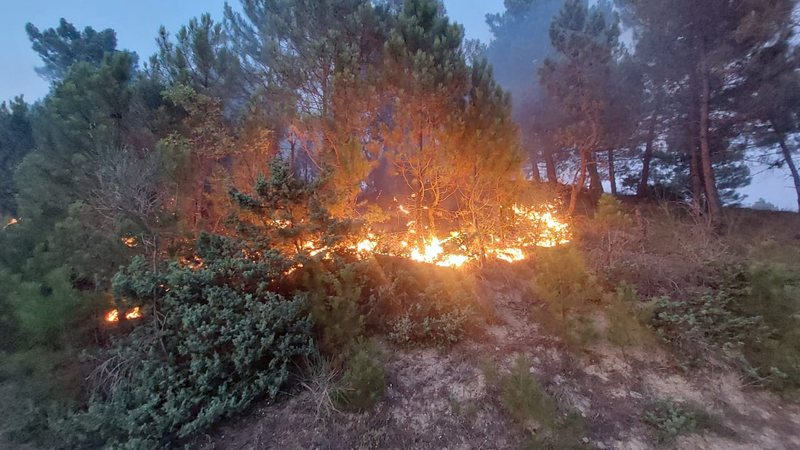 Zjarr i qëllimshëm në Qafë-Shtamë/ Pjesë të pyllit të shkrumbuara, kërkohet ndërhyrje nga ajri dhe toka!