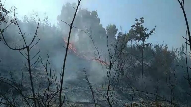 Zjarri përfshin Parkun Kombëtar të Qafë-Shtamës, e vështirë të ndërhyhet nga terreni! !