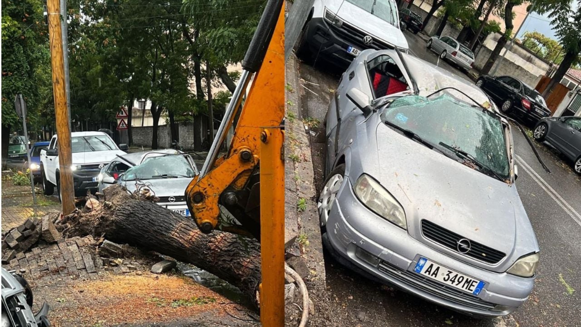 FOTO: Automjete të dëmtuara në Shkodër, moti i keq rrëzon dhe pemët!